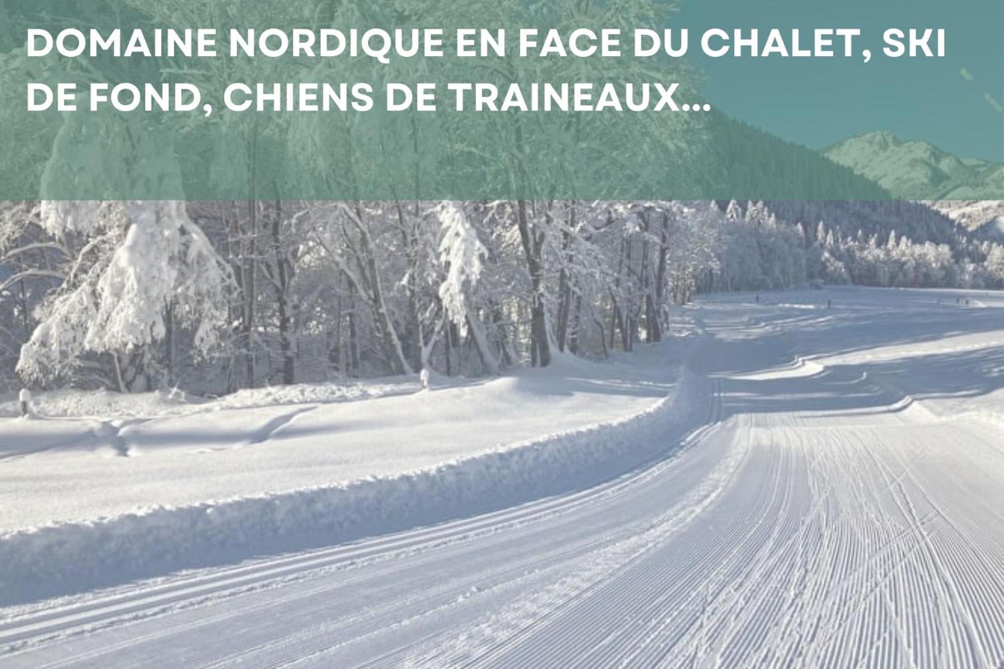 Chalet Les 4 Saisons - Ski, Parking Et Jardin Abondance Eksteriør billede