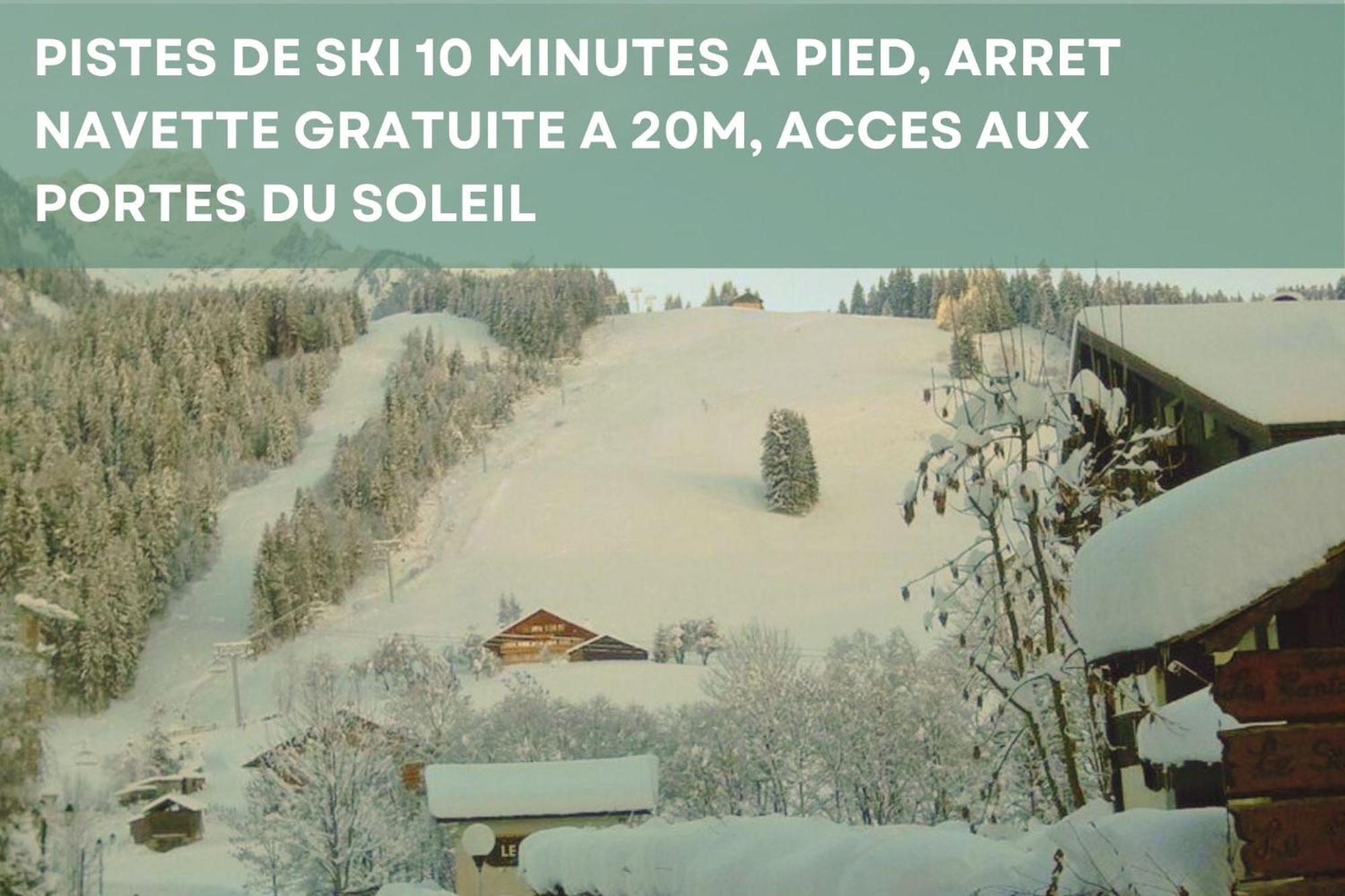 Chalet Les 4 Saisons - Ski, Parking Et Jardin Abondance Eksteriør billede