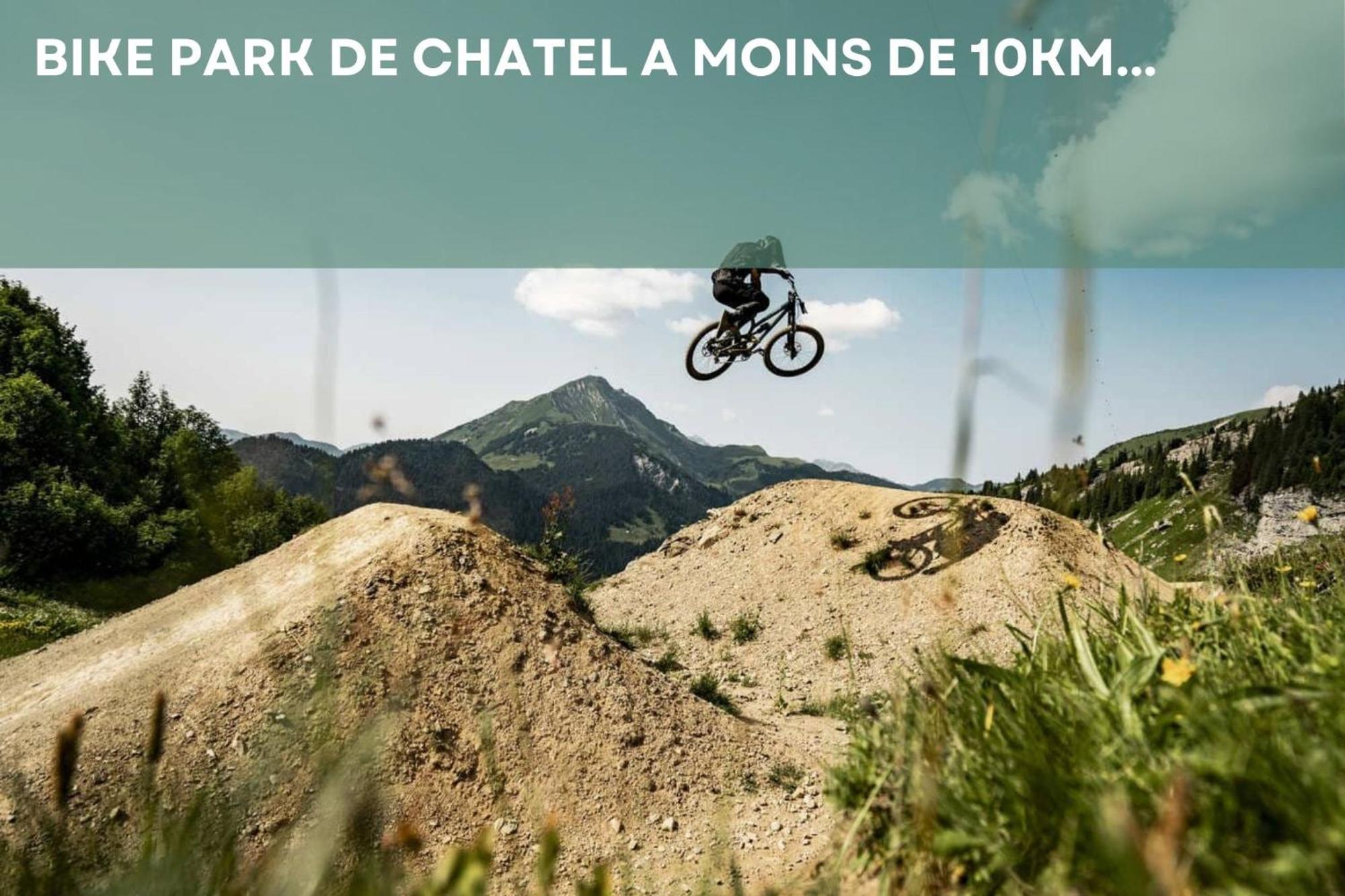 Chalet Les 4 Saisons - Ski, Parking Et Jardin Abondance Eksteriør billede